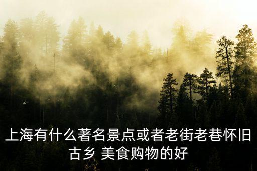 上海有什么著名景點或者老街老巷懷舊古鄉 美食購物的好