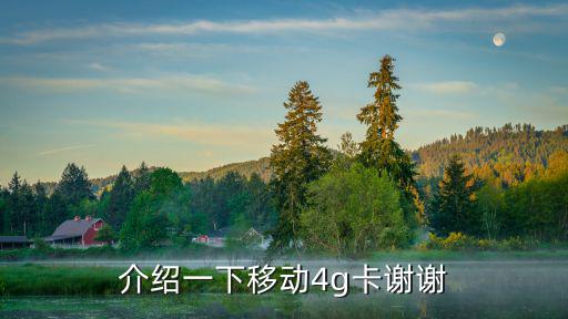 介紹一下移動4g卡謝謝