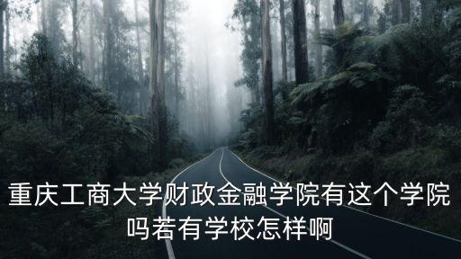 重慶工商大學(xué)財(cái)政金融學(xué)院有這個(gè)學(xué)院?jiǎn)崛粲袑W(xué)校怎樣啊