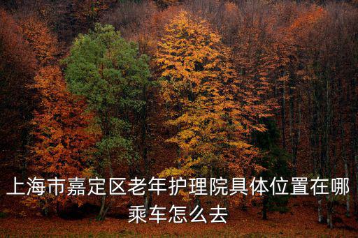 上海市嘉定區(qū)老年護(hù)理院具體位置在哪乘車怎么去