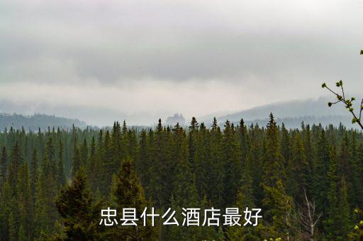 重慶市忠縣海鮮大酒店，忠縣什么酒店最好