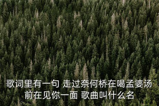 歌詞里有一句 走過奈何橋在喝孟婆湯前在見你一面 歌曲叫什么名