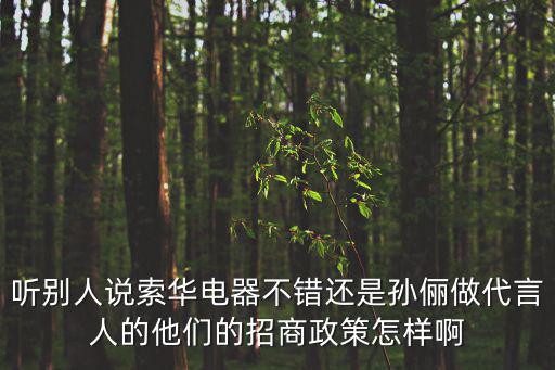 聽別人說索華電器不錯還是孫儷做代言人的他們的招商政策怎樣啊