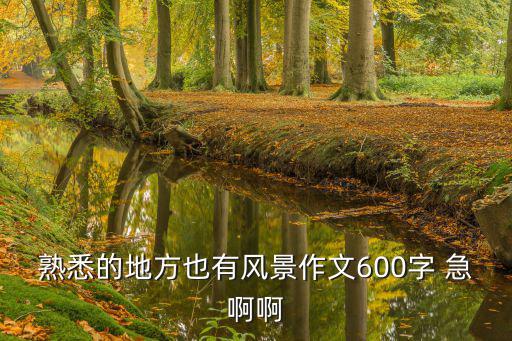 熟悉的地方也有風(fēng)景作文600字 急啊啊
