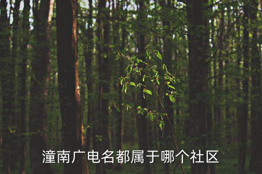潼南廣電名都屬于哪個社區