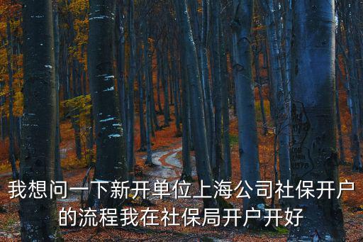 我想問一下新開單位上海公司社保開戶的流程我在社保局開戶開好