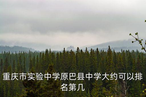 重慶市實驗中學原巴縣中學大約可以排名第幾