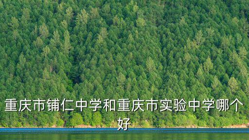 重慶市鋪仁中學和重慶市實驗中學哪個好
