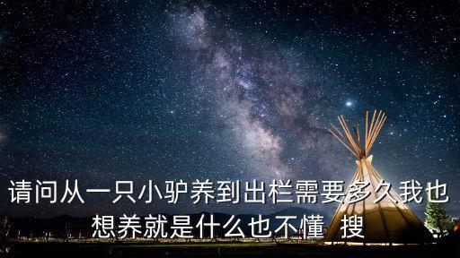 養(yǎng)驢技術(shù)，怎么可以養(yǎng)驢