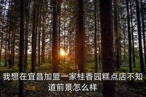 我想在宜昌加盟一家桂香園糕點店不知道前景怎么樣