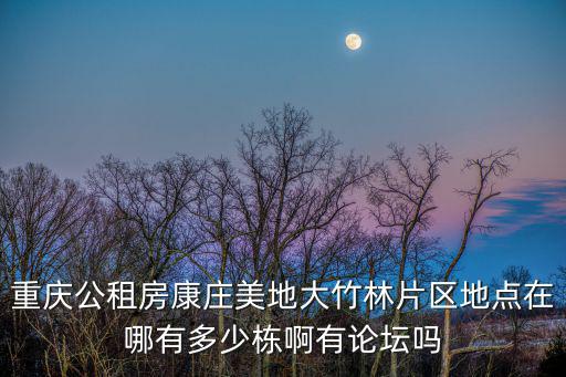 重慶公租房康莊美地大竹林片區(qū)地點(diǎn)在哪有多少棟啊有論壇嗎