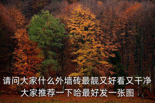 外墻瓷磚效果圖片欣賞，房屋外墻瓷磚效果圖