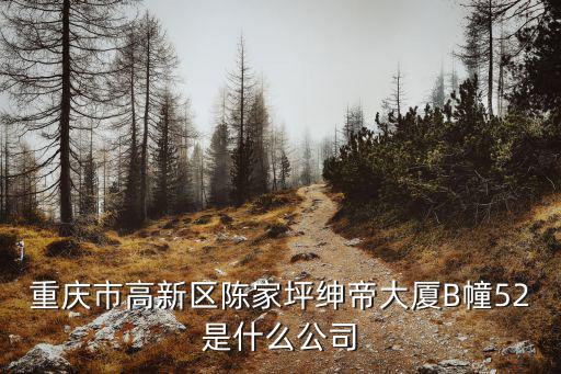 重慶市高新區陳家坪紳帝大廈B幢52是什么公司