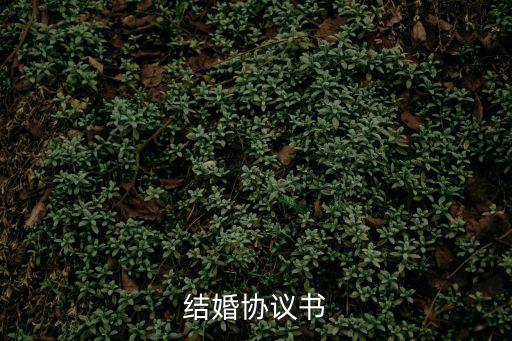 結婚協議書，結婚協議書