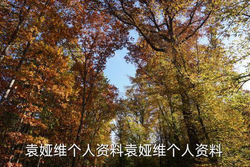 袁婭維個人資料袁婭維個人資料