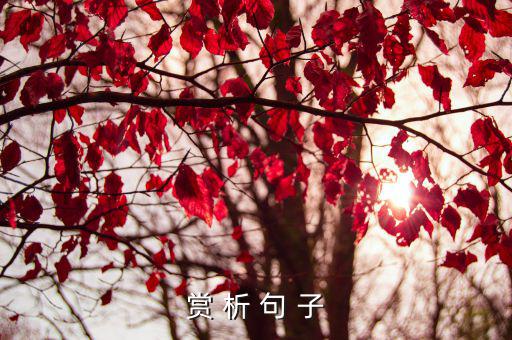 賞 析 句 子