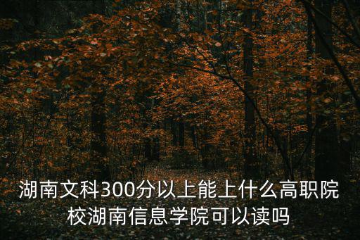 湖南文科300分以上能上什么高職院校湖南信息學院可以讀嗎