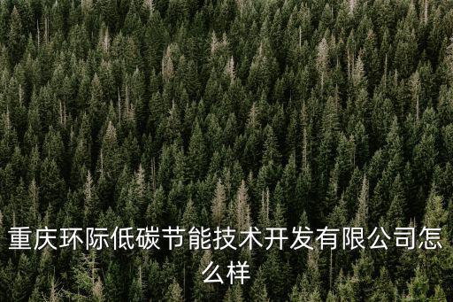 重慶環際低碳節能技術開發有限公司怎么樣