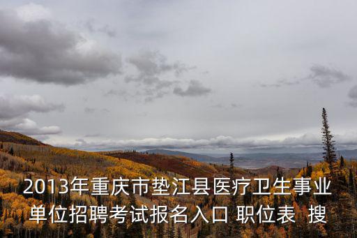 2013年重慶市墊江縣醫療衛生事業單位招聘考試報名入口 職位表  搜