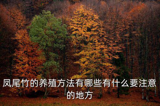 鳳尾竹的養殖方法有哪些有什么要注意的地方