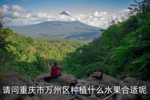 重慶市萬州區美思爾水果種植園，重慶種植草莓基地在哪里