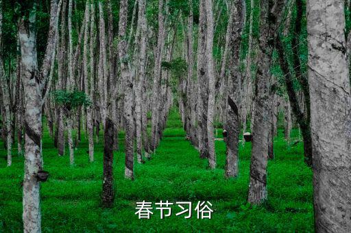春節習俗