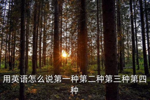 用英語怎么說第一種第二種第三種第四種