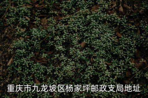重慶市九龍坡區楊家坪郵政支局地址
