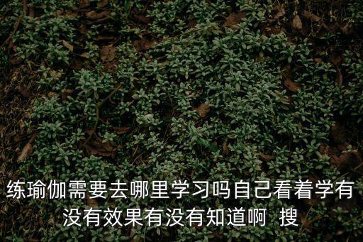 練瑜伽需要去哪里學習嗎自己看著學有沒有效果有沒有知道啊  搜