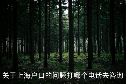 關于上海戶口的問題打哪個電話去咨詢