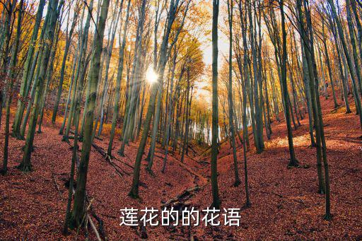 蓮花的的花語
