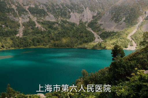上海市第六人民醫院