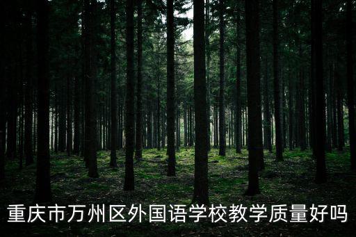 重慶市萬州區外國語學校教學質量好嗎