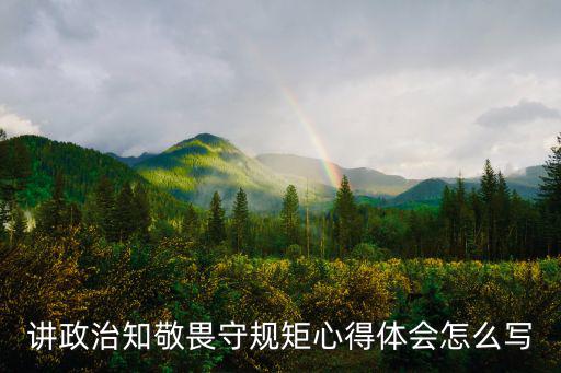 講政治知敬畏守規(guī)矩心得體會(huì)怎么寫(xiě)