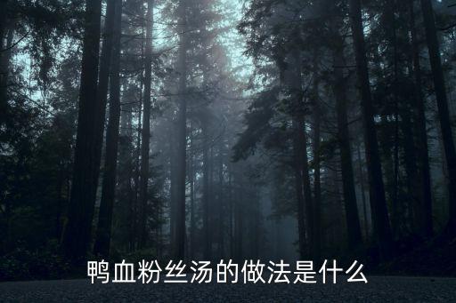 鴨血粉絲湯的做法是什么