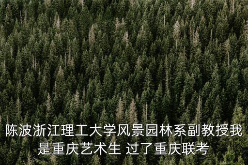 陳波浙江理工大學風景園林系副教授我是重慶藝術生 過了重慶聯考