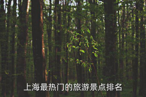 上海最熱門的旅游景點排名