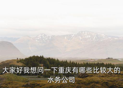 大家好我想問一下重慶有哪些比較大的水務公司