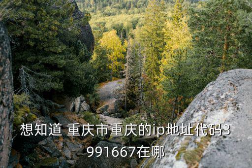 重慶市dhcp域名，想要重慶市IP