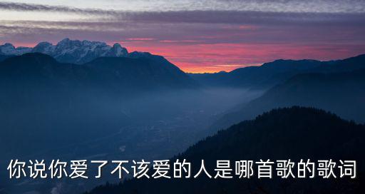 夢醒時分歌詞，早知道傷心總是難免的你又何必一往情深是什么歌