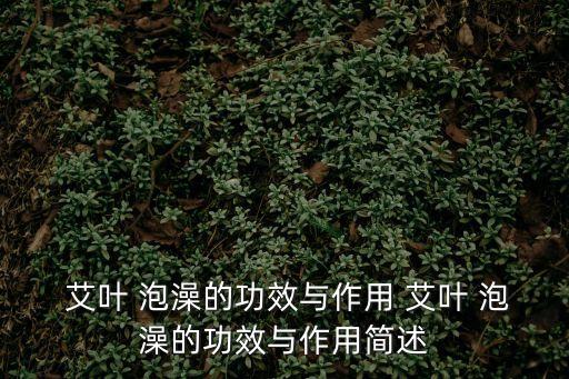  艾葉 泡澡的功效與作用 艾葉 泡澡的功效與作用簡述