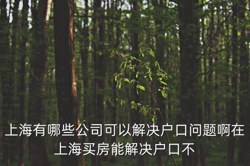 上海有哪些公司可以解決戶口問題啊在上海買房能解決戶口不