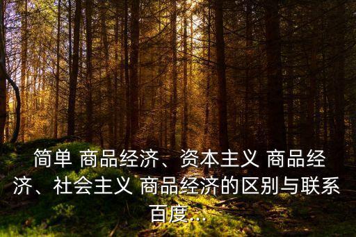 簡單商品經濟,商品經濟追求剩余價值