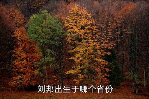 劉邦是哪里人,劉邦是沛縣人還是安徽人?