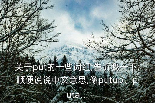 關于put的一些詞組,告訴我一下,順便說說中文意思,像putup、puta...