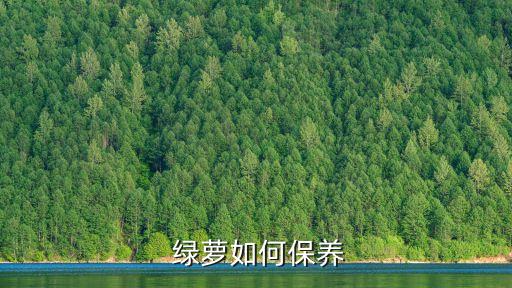 綠蘿的養護,吊蘭適合在哪些環境中養殖?