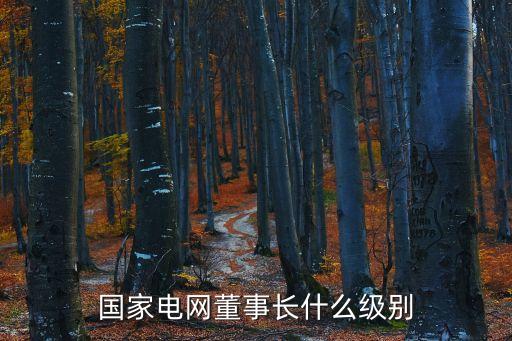 重慶市電力公司董事長級別，市供電公司老總是屬于什么級別