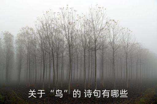 關于“鳥”的 詩句有哪些