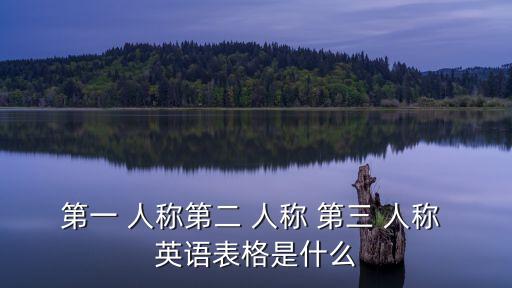 英語第三人稱,英語口語習(xí)慣使用賓格形式人稱代詞有哪幾種?