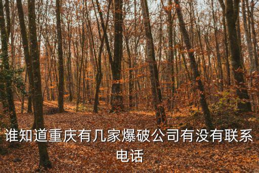 誰知道重慶有幾家爆破公司有沒有聯系電話